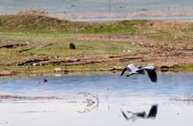 From Tbilisi: Rainbow Mountains & Lakes 4x4 Wildlife Tour
