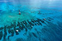 Marathon Snorkeling and Sandbar Adventure