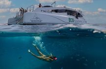 ECO Ferry Mini Cruise to Isla de Lobos