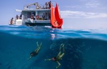 ECO Ferry Mini Cruise to Isla de Lobos