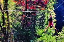 2 Mile Family Zipline Adventure Near Pigeon Forge and Gatlinburg