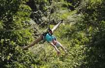 2 Mile Family Zipline Adventure Near Pigeon Forge and Gatlinburg