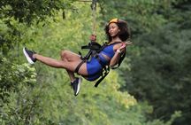 2 Mile Family Zipline Adventure Near Pigeon Forge and Gatlinburg