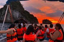 Bioluminescence unique beaches and transportation from Vallarta