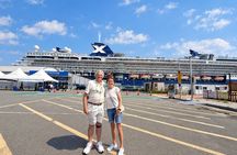 Busan Cruise Shore Excursion with Guaranteed On-Time Return