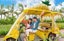 Okinawa HIP-HOP BUS A Course Tour | Churaumi Aqualium,Kori Island