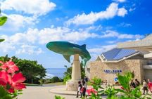Okinawa HIP-HOP BUS A Course Tour | Churaumi Aqualium,Kori Island