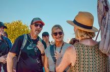 Colosseum Tour with Palatine Hill and Roman Forum