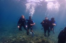 Kusadasi Try Scuba Dive