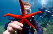 Kusadasi Try Scuba Dive