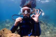 Kusadasi Try Scuba Dive