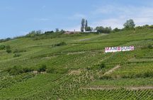 From Colmar half-day tour of Alsatian villages and wine