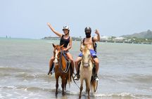2x1: Horseback Riding Plus monkeyLand Amber cove Taino Bay