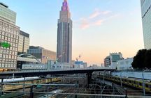 Private Tokyo Walking Tour and Shinjuku Secrets