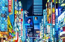 Private Tokyo Walking Tour and Shinjuku Secrets