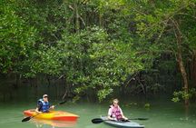 Phuket Mangrove Kayak Eco Tour at Thalang