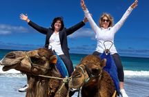 Tangier Private 4-Hour Tour with Camel Ride Experience