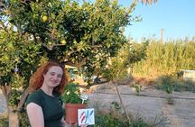 Naxos Herbal Garden Experience: Plant, Explore & Adopt Your Herb