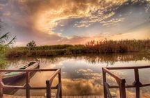 Valencia: Albufera Express with Boat Ride, Local Guide & Drink