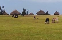 4 Days Lalibela Eco Community Based Trekking Tour with Meals