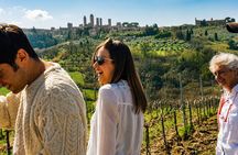 Tuscany Experience: Pisa, Siena, San Gimignano & Wine Tasting