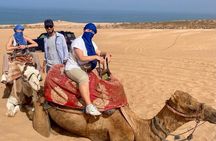 Private 4x4 Jeep Safari from Agadir Souss Massa National Park