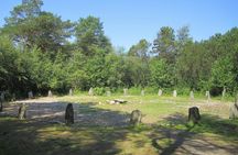 Stavanger: Private Viking History Tour with Pickup