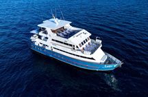 5 Days Private Cruise Tour to Galapagos Islands