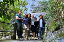 Tijuca Forest: Hiking, waterfalls, cave, and wildlife
