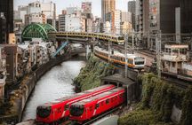 Tokyo Private Day Tour with English Speaking Driver