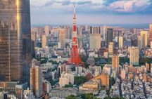 Tokyo Private Day Tour with English Speaking Driver