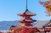 Tokyo Private Day Tour with English Speaking Driver