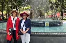Frida Kahlo Museum, Diego Rivera Studio, UNAM Murals Private Tour