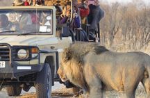 Safari Game Drive Zambezi National Park