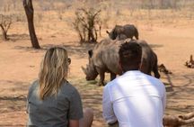 Safari Game Drive Zambezi National Park