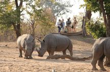 Safari Game Drive Zambezi National Park