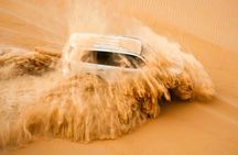 Abu Dhabi Layover Desert Escape: Safari, Camel Ride, & BBQ Dinner
