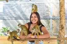 Monkey Park Tour and Damajagua waterfalls in Puerto Plata.