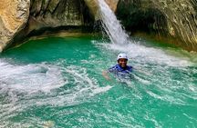 Monkey Park Tour and Damajagua waterfalls in Puerto Plata.
