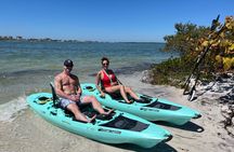 Private Clearwater Beach Kayak Tour & Island Adventure