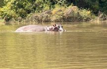 Hippos Chimpanzees and Stone Circles Cycling Experience