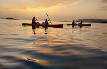 Zen Sunset Kayak Tour with Mario