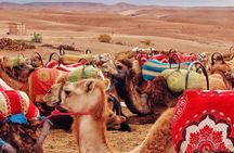 Overnight desert & dinner show with camel ride and Quad bike