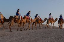 Overnight desert & dinner show with camel ride and Quad bike