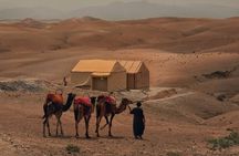 Overnight desert & dinner show with camel ride and Quad bike