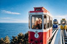 Busan Small Group Cruise Tour 100% Guaranteed Sky capsule
