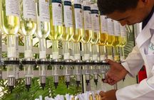 Punta Cana Perfume Bar: Make Your Own Scent with Perfume Experts