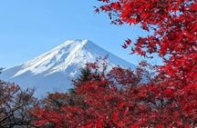Mount Fuji Private Tour With pick up From Tokyo