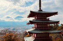 Mount Fuji Private Tour With pick up From Tokyo