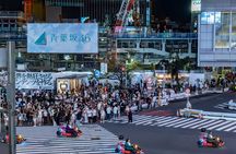 Shinjuku Go Karting Tour with Funny Costume